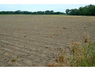 Property photo 6 - FARM & LAND AUCTION - 125+/- ACRES OFFERED IN 5 TRACTS IN EAST ALLEN COUNTY, INDIANA